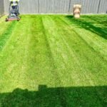Professional grass cutting and lawn care in Komoka and Kilworth