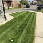 commercial lawn maintenance london onatrio