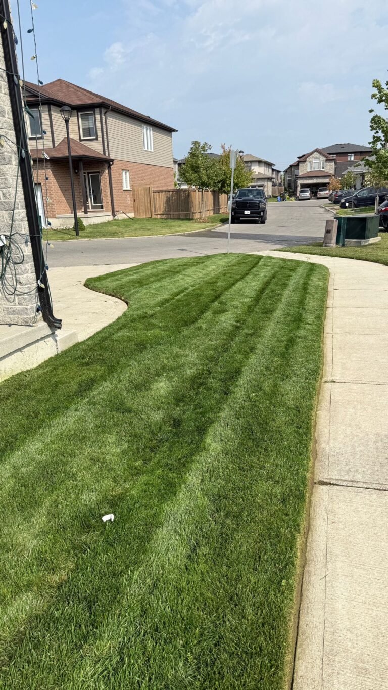 commercial lawn maintenance london onatrio