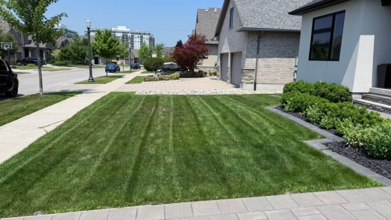 Residential Lawn Mowing & Grass Cutting — London Ontario & Surrounding Areas
