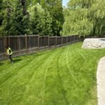 residential lawn mowing london