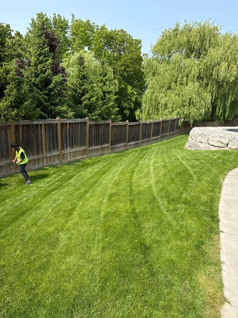 residential lawn mowing london