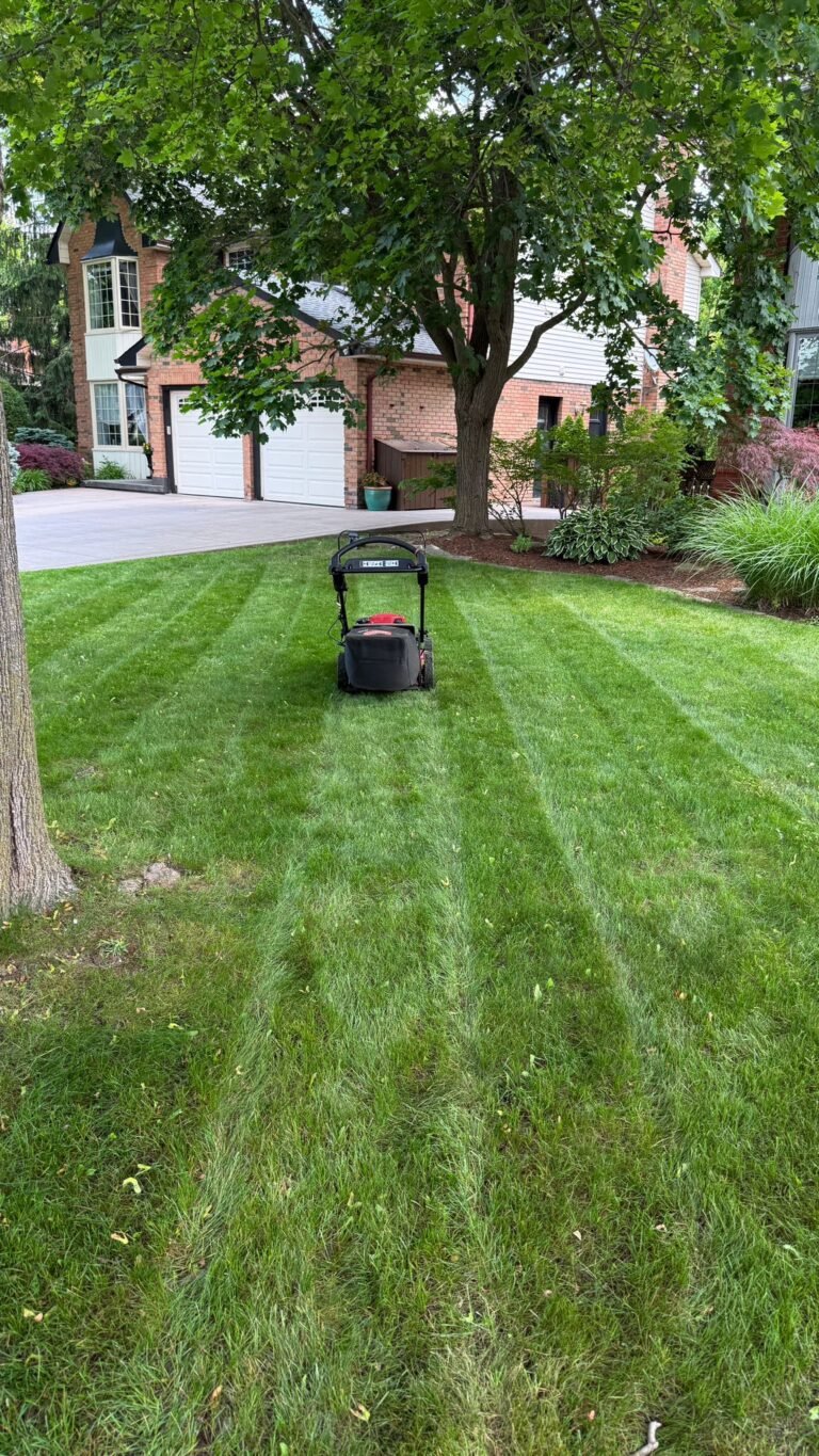 Contact SGMOWING | Trusted Lawn Mowing & Expert Lawn Care in London, Ontario