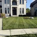 Professional lawn mowing service in London, Ontario with striped, manicured lawn by SG Mowing"