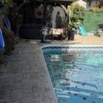 Before and after spring clean up results for a property in London ON