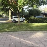 IMG_0053