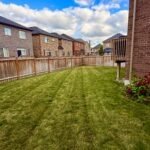 Lawn Mowing & Lawn Care London ON