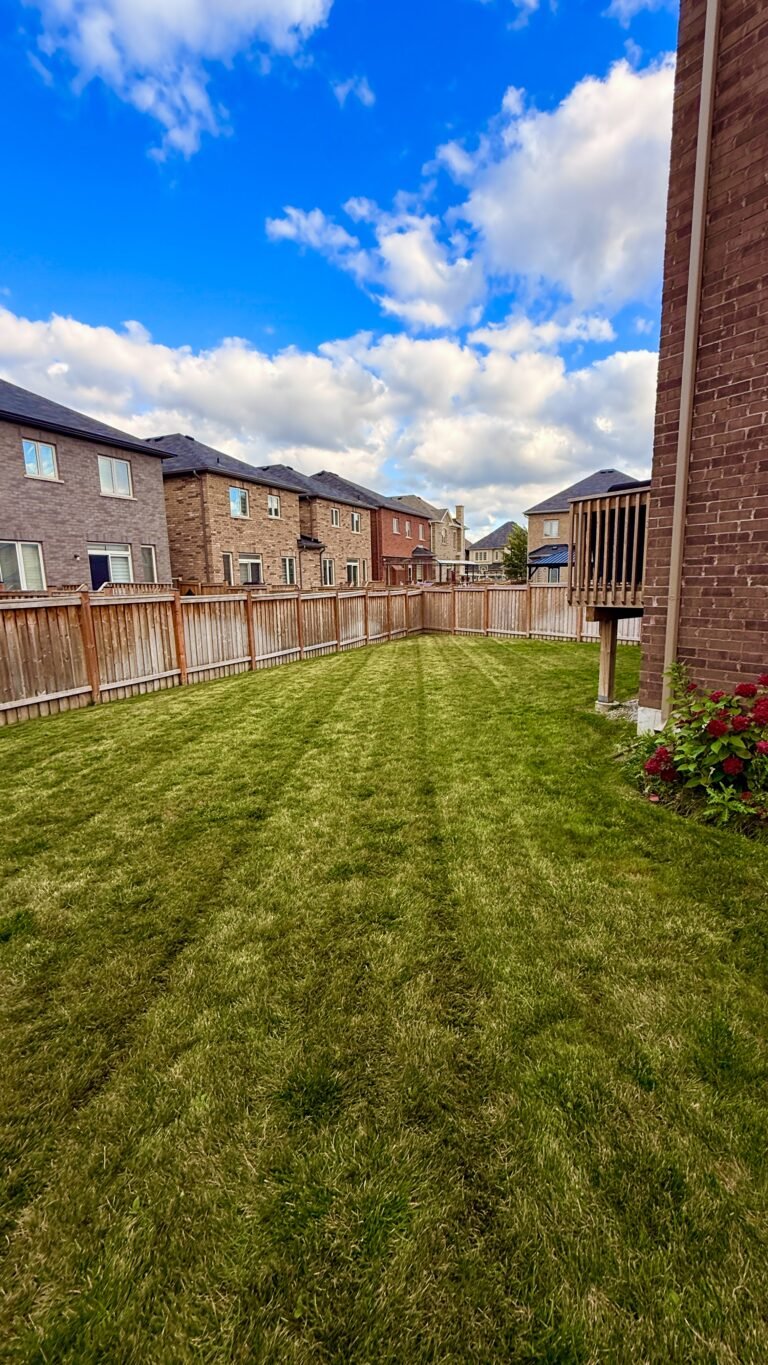Lawn Mowing & Lawn Care London ON