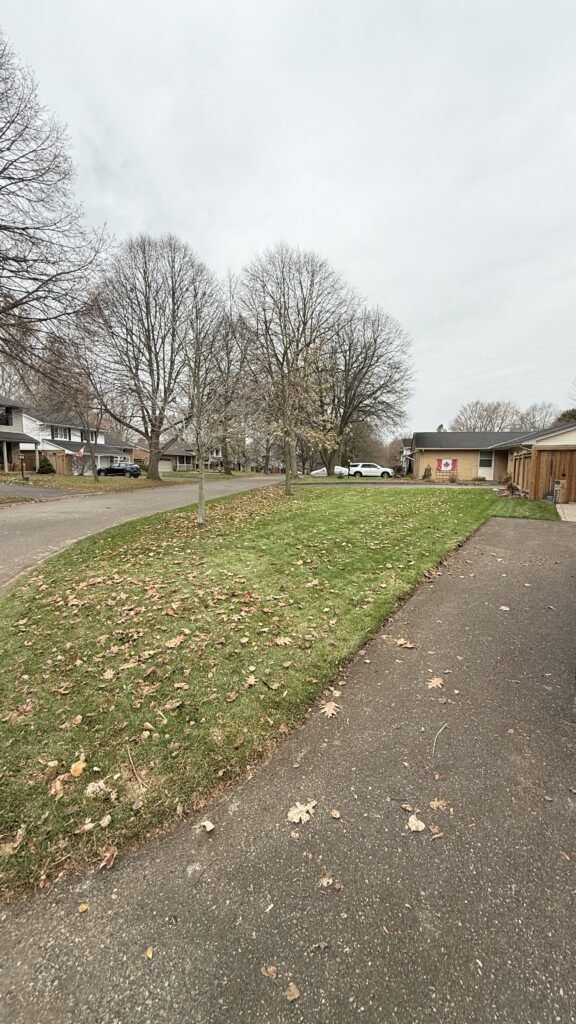Spring lawn cleanup in London, Ontario