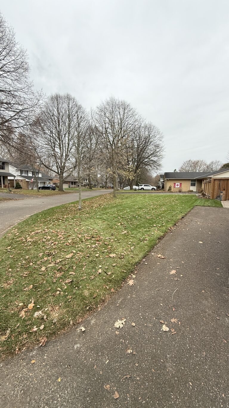 Spring lawn cleanup in London, Ontario