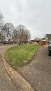 Spring Cleanup & Leaf Removal London Ontario