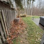 Leaf clean up service in London Ontario removing fallen leaves from lawns and gardens.