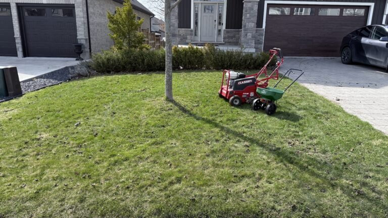 Lawn fertilization and maintenance services in London, Ontario for healthy grass by SG Mowing"
