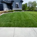 SG Mowing providing residential lawn maintenance in Ilderton