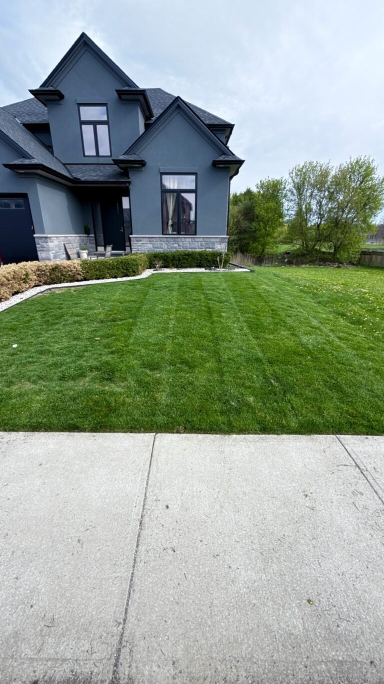SG Mowing providing residential lawn maintenance in Ilderton
