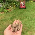 aeration london, overseeding london