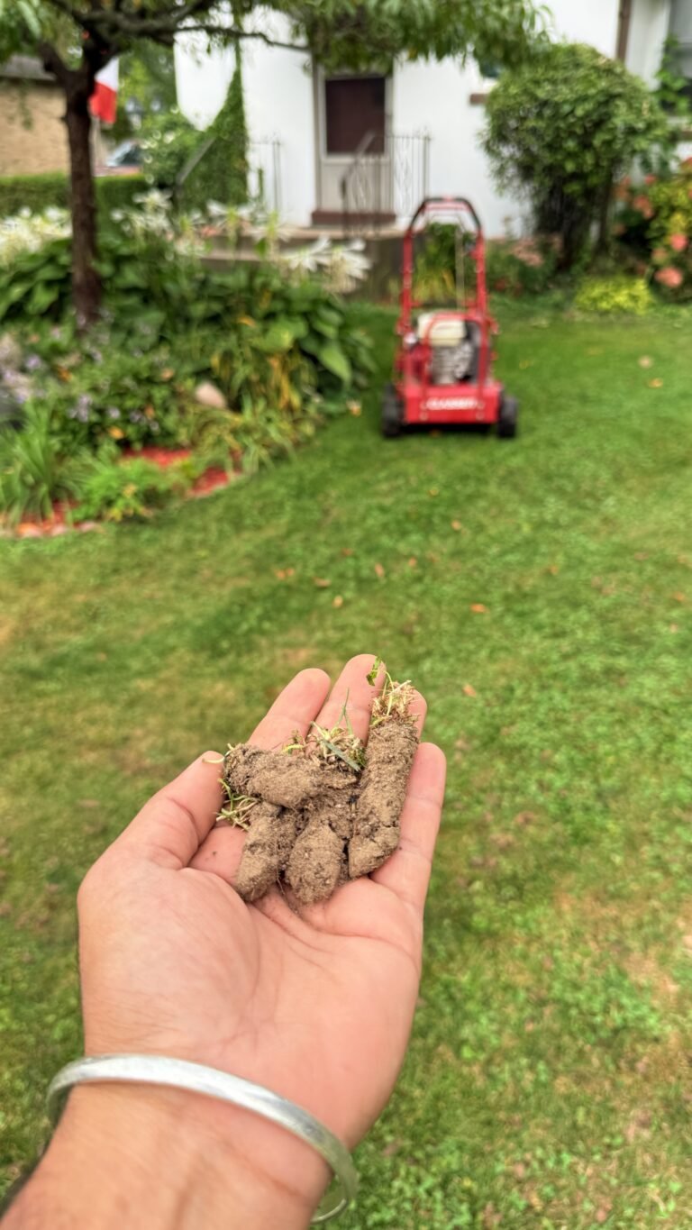 aeration london, overseeding london