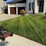 Reliable Yard Maintenance & Lawn Mowing Dorchester