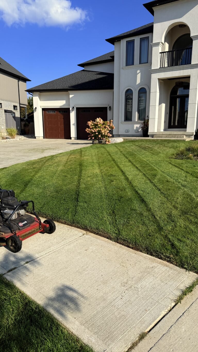 Reliable Yard Maintenance & Lawn Mowing Dorchester