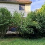 Professional lawn mowing service in London, Ontario with striped, manicured lawn by SG Mowing"