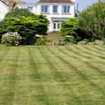 Komoka ON weekly lawn mowing – healthy green grass with clean stripes in a residential yard