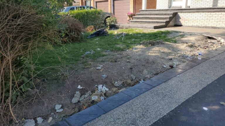 Commercial sod installation at a business property in London
