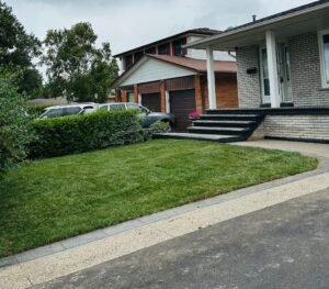 Sod installation services across London and surrounding areas