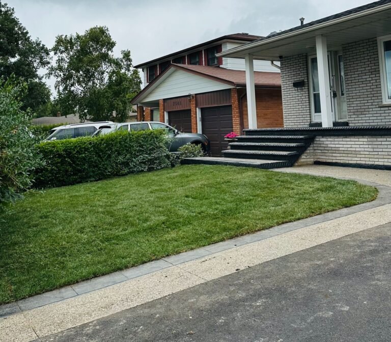 Sod installation services across London and surrounding areas