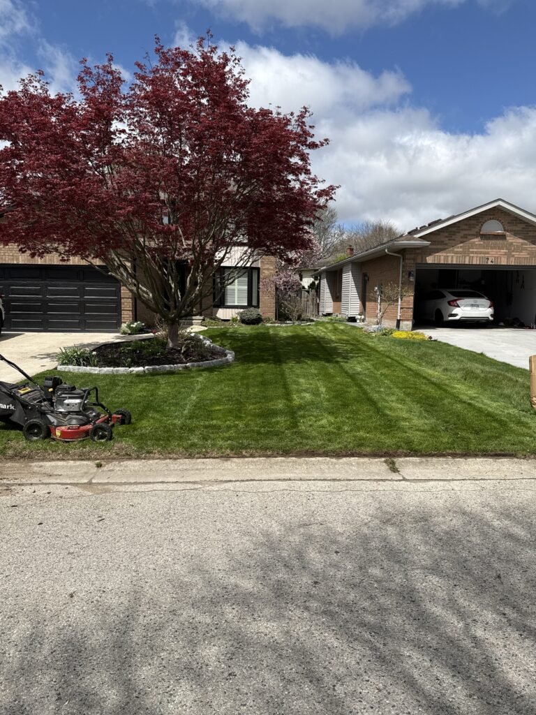 Reliable lawn mowing service for residential homes in Strathroy, Ontario.