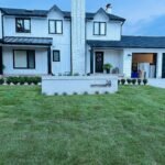 Fresh sod installation for a residential backyard in London and surrounding areas