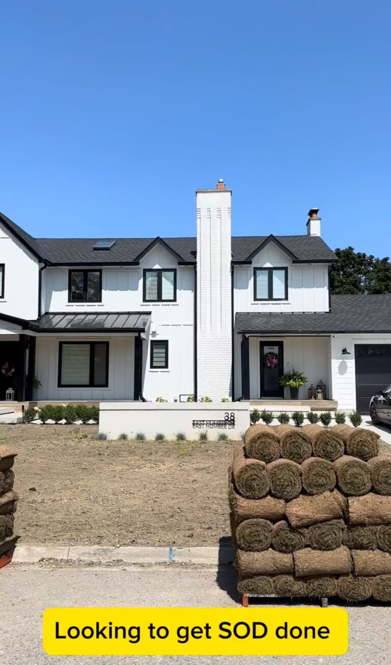 Residential sod installation creating a lush green lawn in London