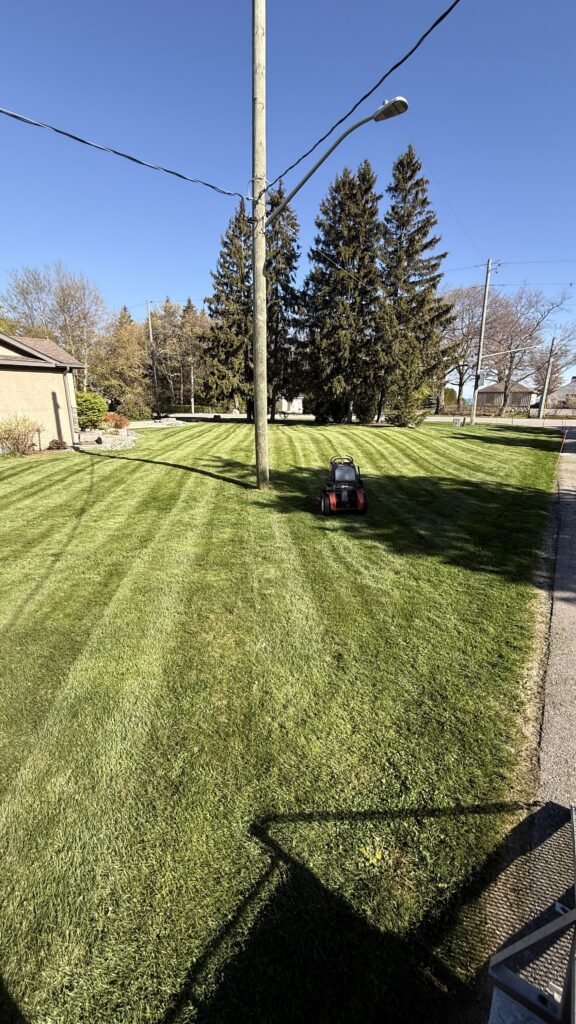 grass cutting london ontario