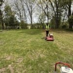 dethatching london ontario