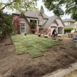 Professional lawn restoration with new sod in London Ontario