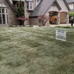 Lawn renovation and sod installation in London Ontario