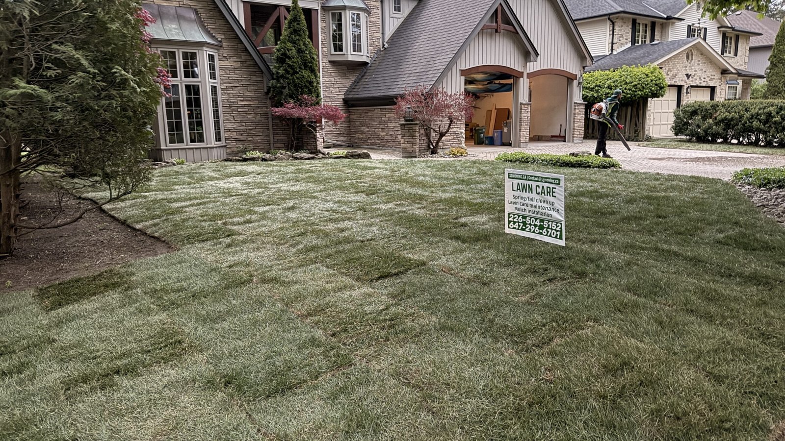 Lawn renovation and sod installation in London Ontario