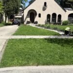 Front yard in London, Ontario with patchy, weed-filled lawn needing restoration.