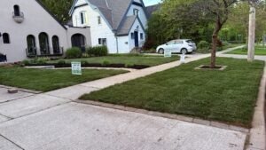 Professional Sod Installation in London, Ontario