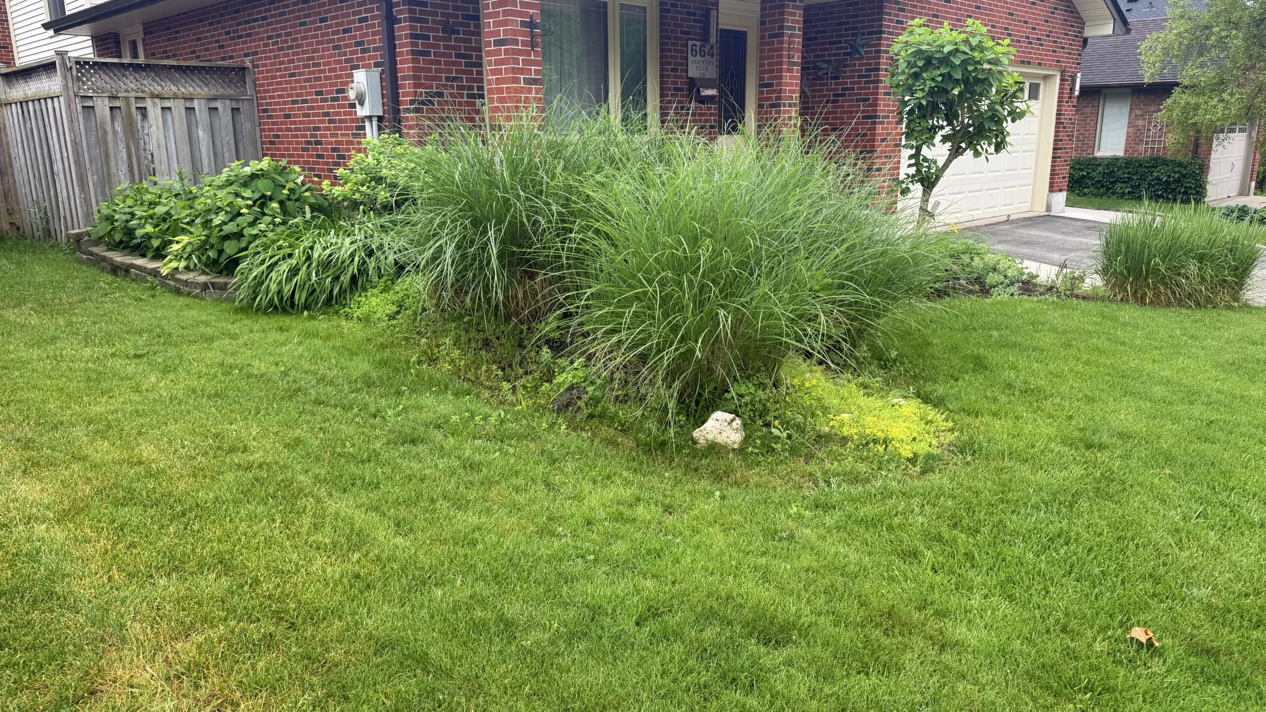 before Clean garden bed edges cut with precision at a London Ontario residential property by SG Mowing