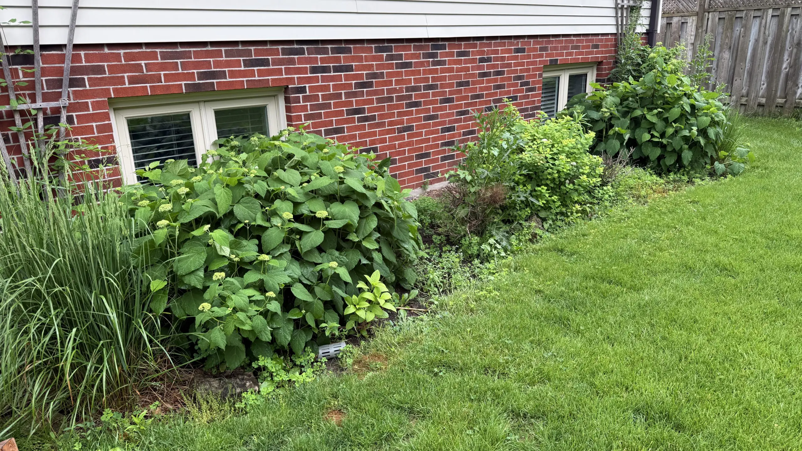 Spring garden bed clean up with pine mulch installation and sharp border edges in London Ontario
