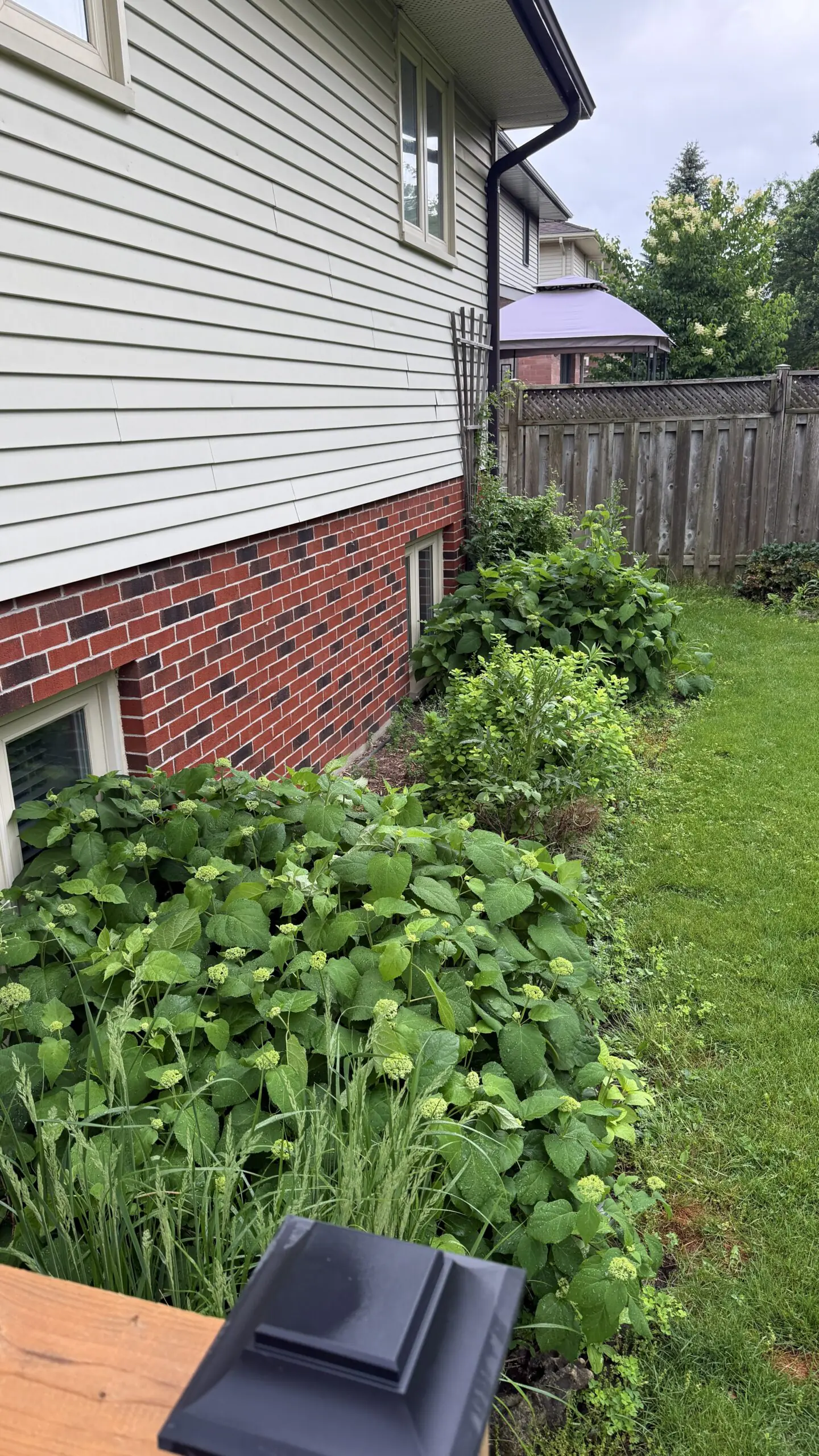 Professional mulch installation and crisp bed edging service completed in London Ontario