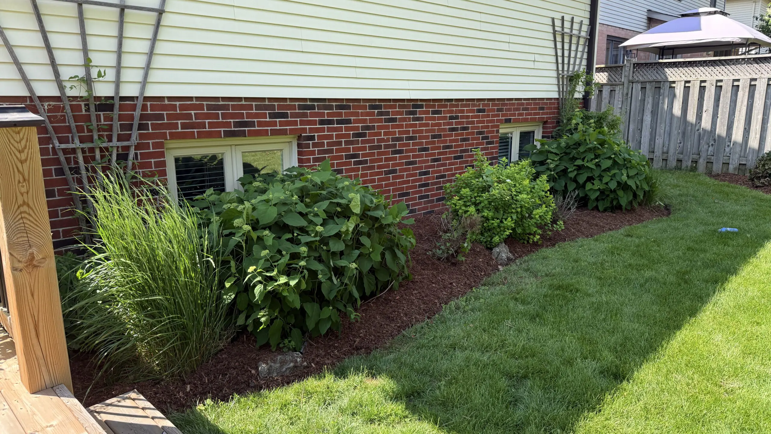 Dark pine mulch covering flower beds and shrubs at a London Ontario property