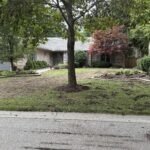 Fall lawn restoration London Ontario