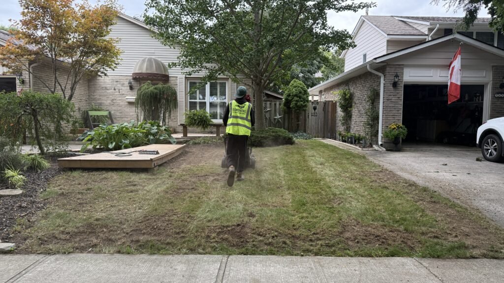 Lawn dethatching London Ontario