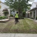 Lawn dethatching London Ontario