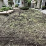Lawn restoration in London Ontario with aeration, dethatching, overseeding, fertilizing and lawn rolling