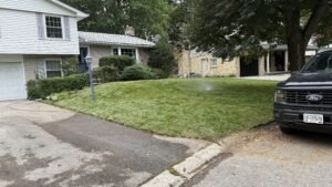 Sod Installation vs Lawn Restoration London Ontario | SG Mowing